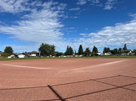 Bert_Knibbs_Ball_Park_3.jpg